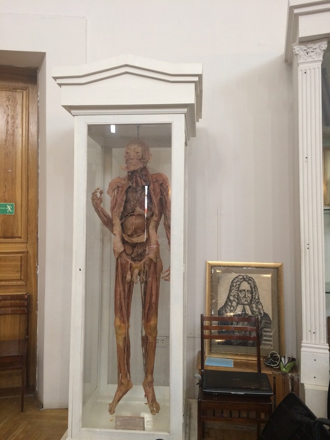 Anatomical theatre, Kazan (5).jpg